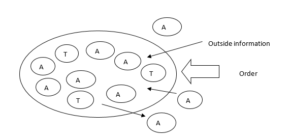 Conceptual framework of the model