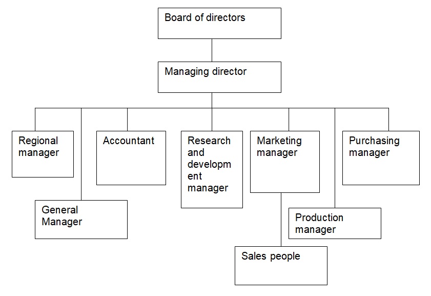 Organizational Hierarchy