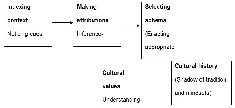 depicting cultural sense-making model