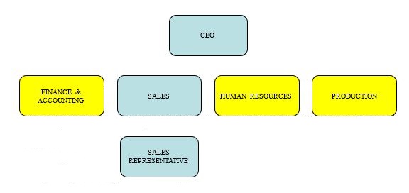 Apple company partial organizational chart