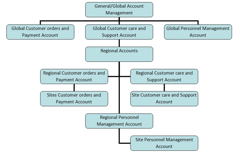 Account Management Chart for Harley-Davidson Company.