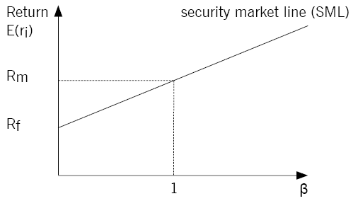 CAPM Graph