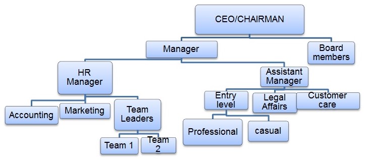 Organizational chart