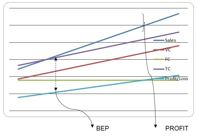 Graphical Representation of the Breakeven Point