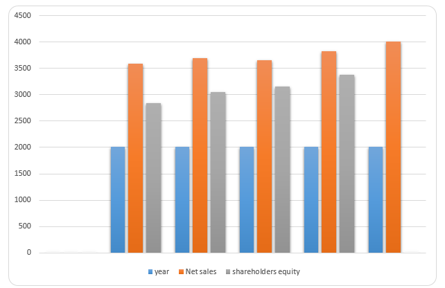 Assets and Shareholders equity in the last five years