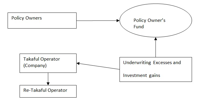 The Mudaraba model