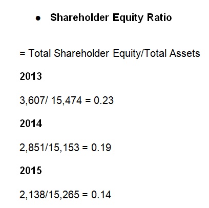 Shareholder Equity Ratio