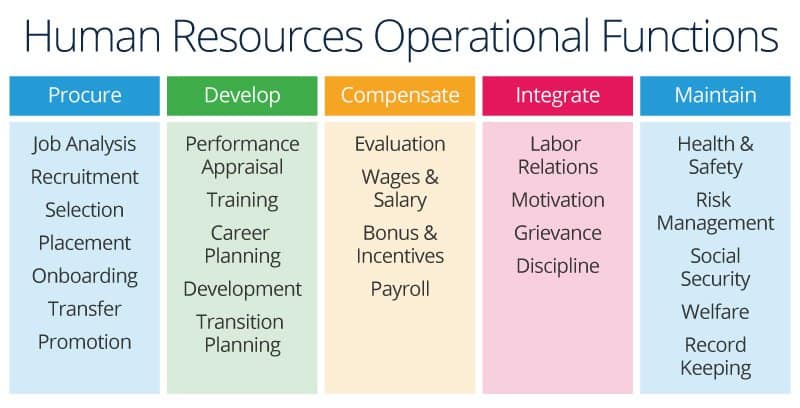 HR Function Varying Across Organizations.