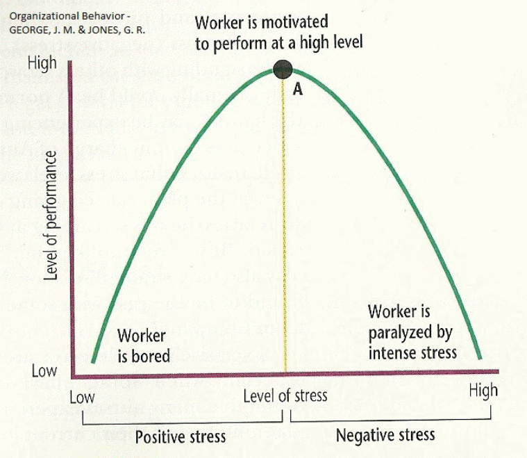 A scale that can be used to identify positive and negative stress