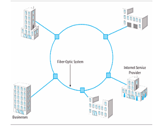 Rapid Freight Company's Value Chain Management