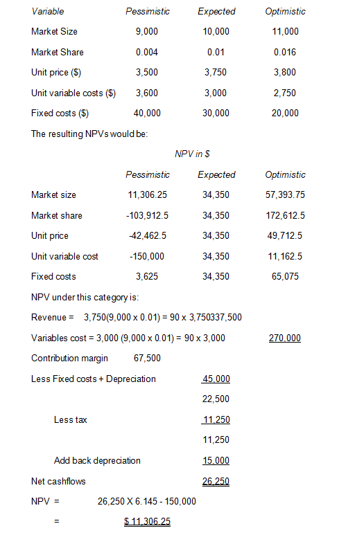 Strategic Investment Decision and Sensitivity Analysis