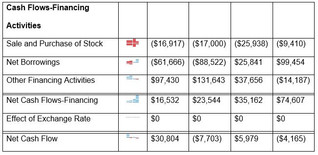 Appendix 1: ESSA Company Financials: Annual Income Statement (values in 000's)