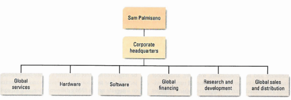 Organisational structure of IBM.