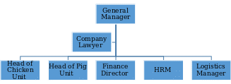 Organizational Structure