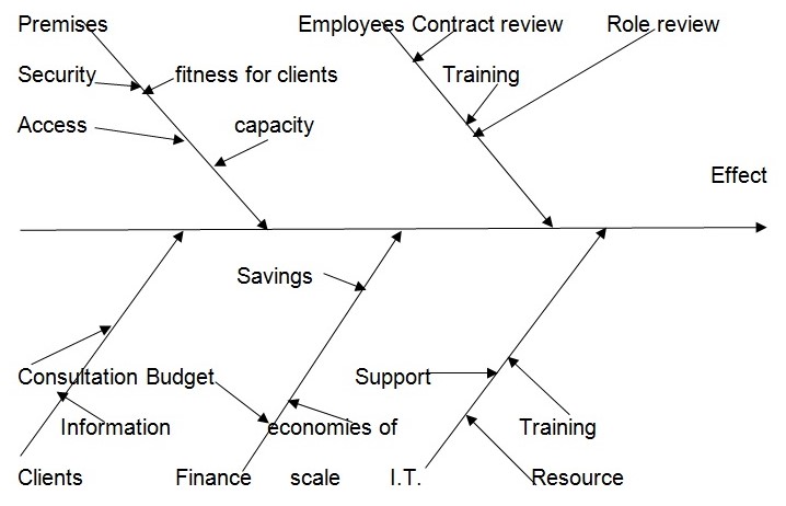 Fishbone Diagram