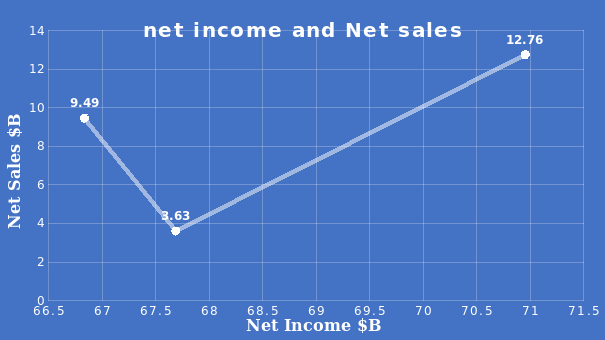 Net Income and Net Sales table