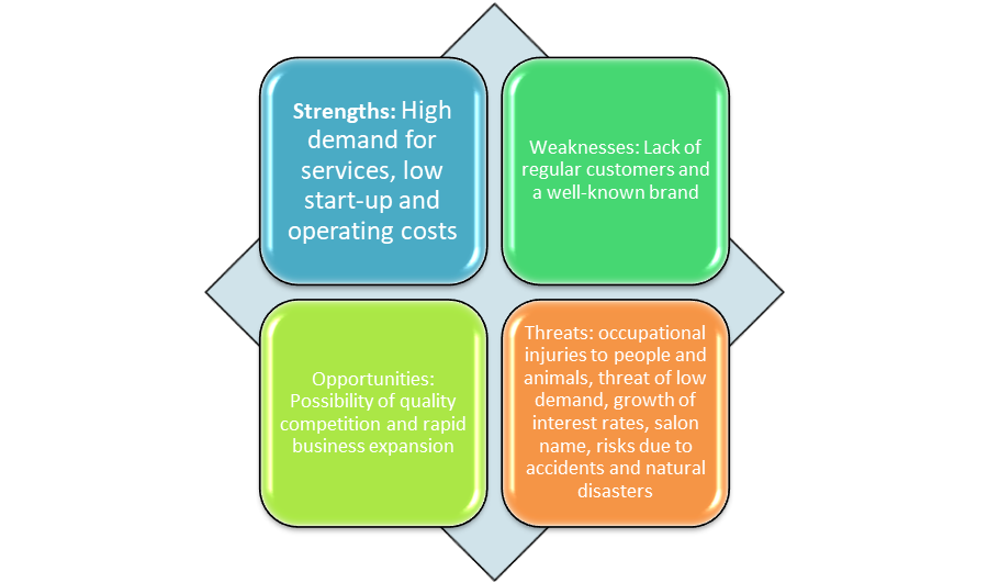 SWOT Chart