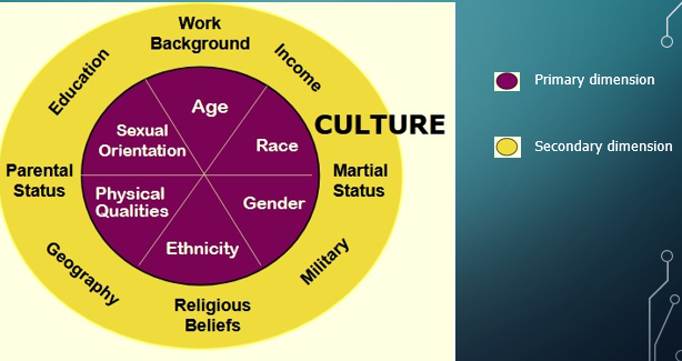 Primary dimension forms our core expectations of others within personal and professional setting. Secondary varies depending on environment, experiences, or stage in life.