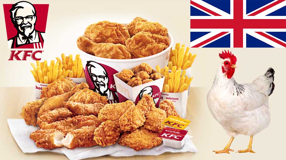 KFC Fried Chicken