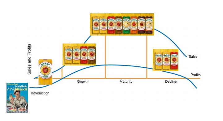 Stages of the product life cycle.