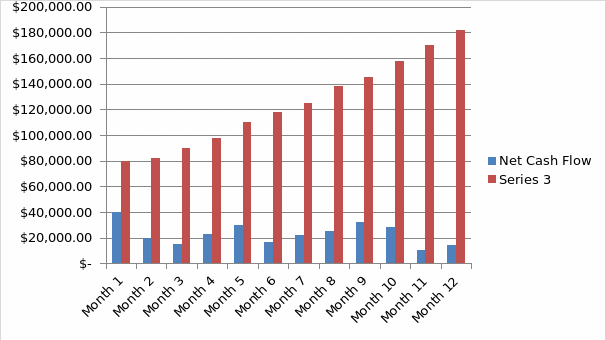 A simple cash flow over 12 month