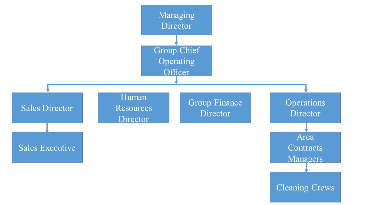 Organizational Structure Identified