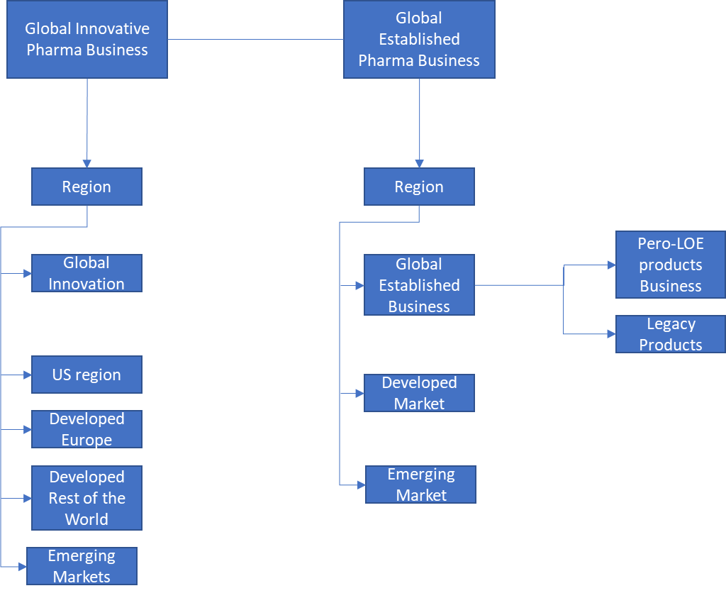 Pfizer Organizational Chart by Market Segment