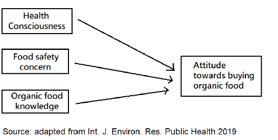 Conceptual framework