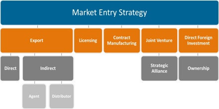 Market entry options available to Sunvisionair