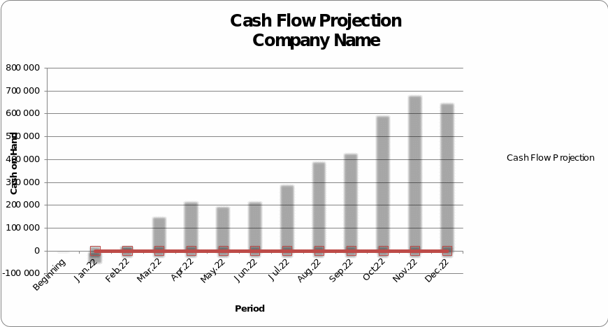  Company budgeting for 2022 (Cash flow table shown in Appendix A)