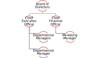 Organizational chart 