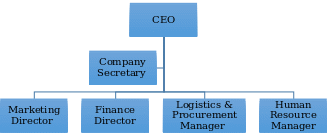 The Dudebox’s Company Structure and Departments 