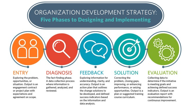 Organisation Development Strategy