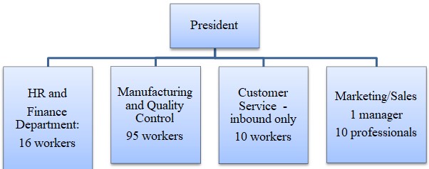 The Sports Board's structure