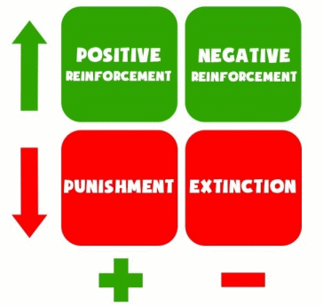 Reinforcement Theory 