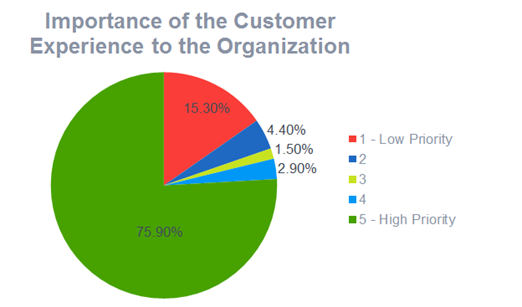 The image shows a pie chart illustrating the importance of customer experience