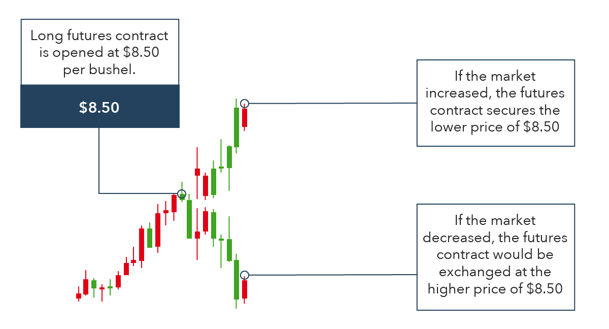 Long-term contracts as an instrument for hedging