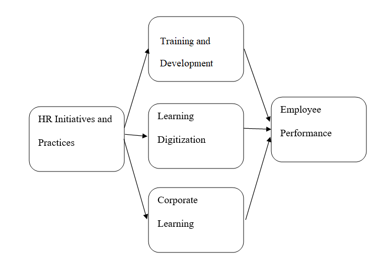 Conceptual framework 