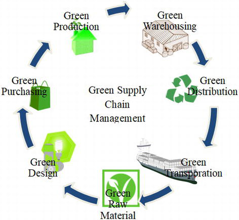 The cycle of the green supply chain and its relation with green transportation 