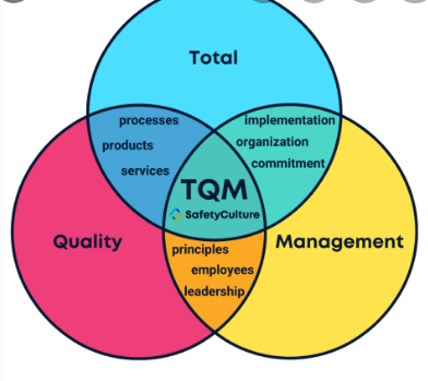 Total Quality Management Processes