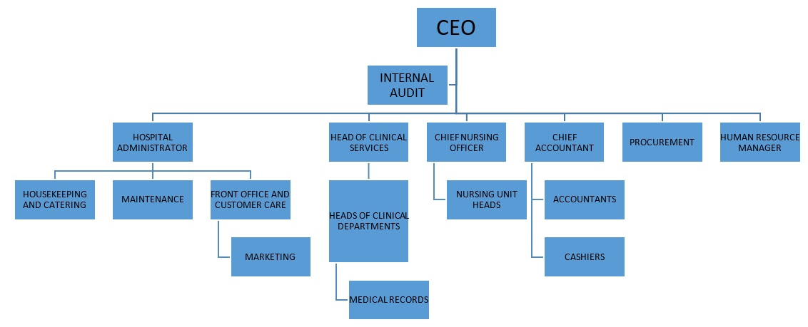 Neema Hospital Organizational Structure before changes.