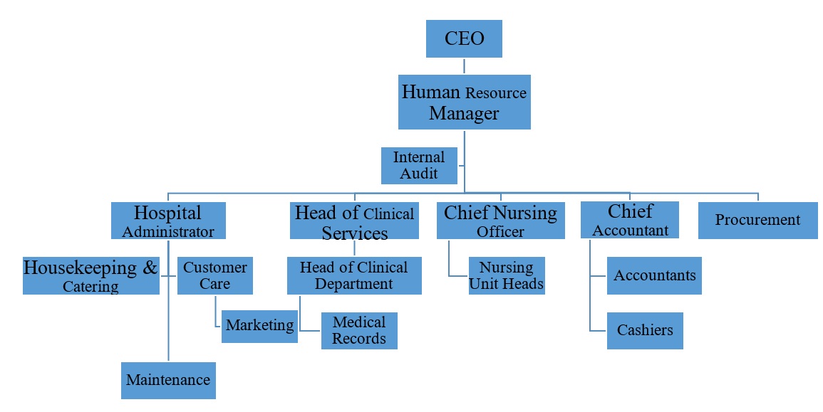 Neema Hospital Organizational Structure after changes.