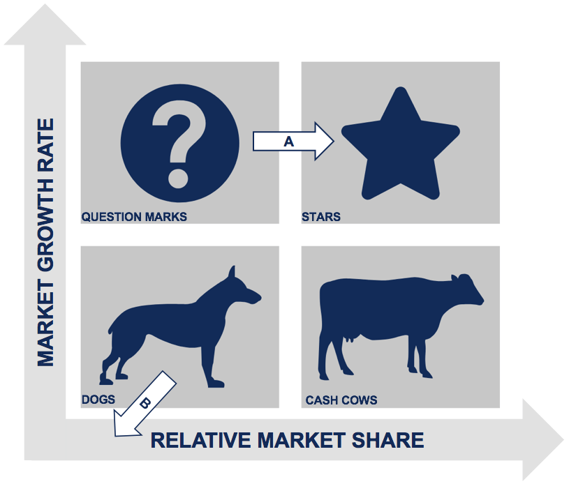 Product/Service Portfolio (BCG Matrix)