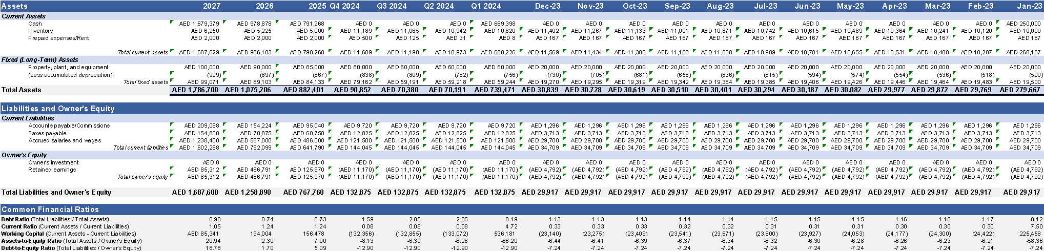 Balance Sheets and Ratio Analysis